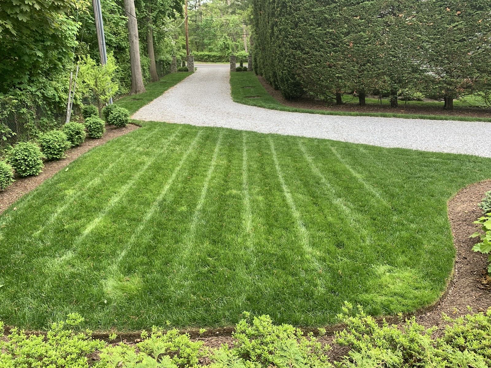 Weekly Mowing & Maintenance