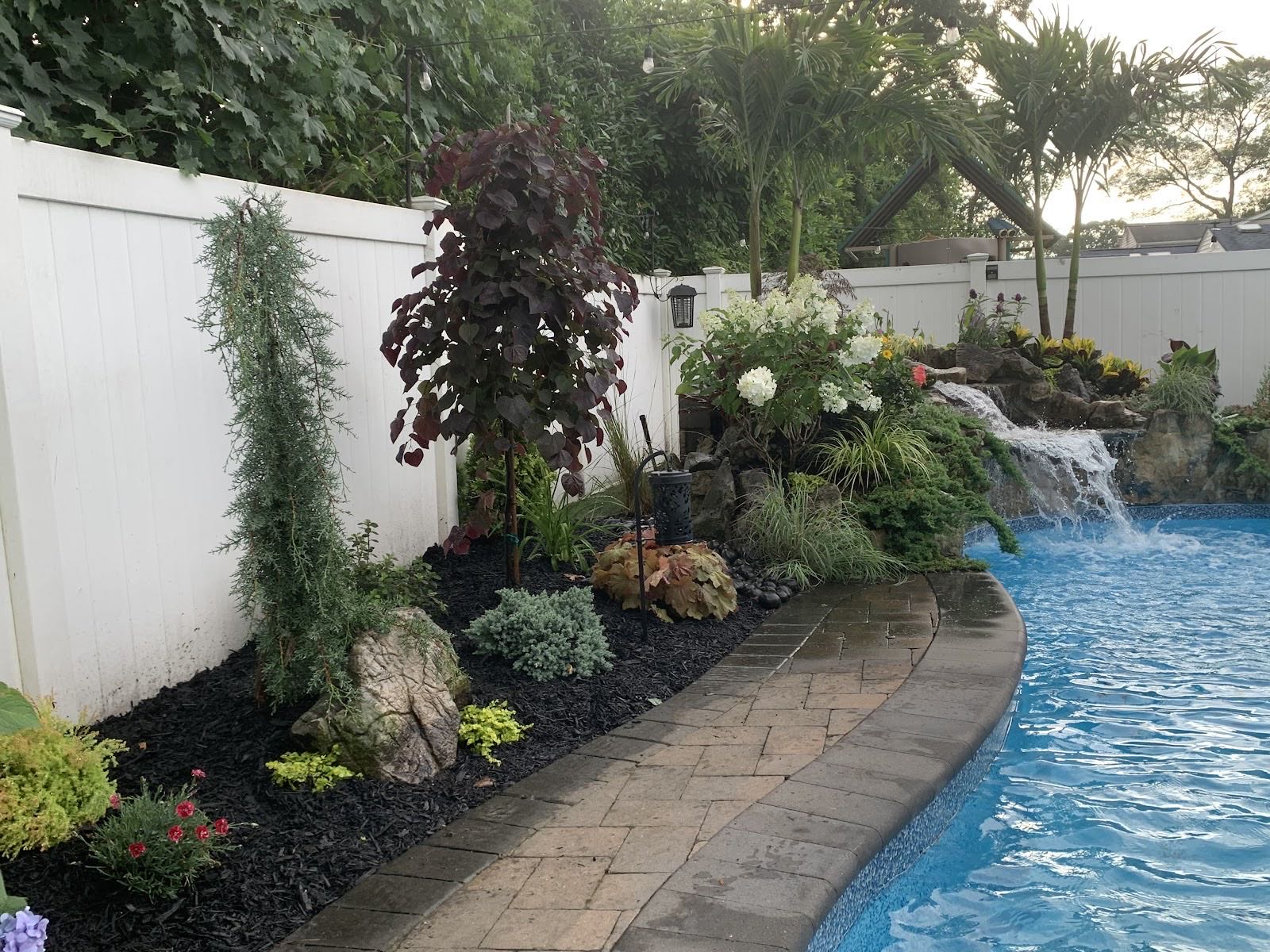 Landscape Design & Installs