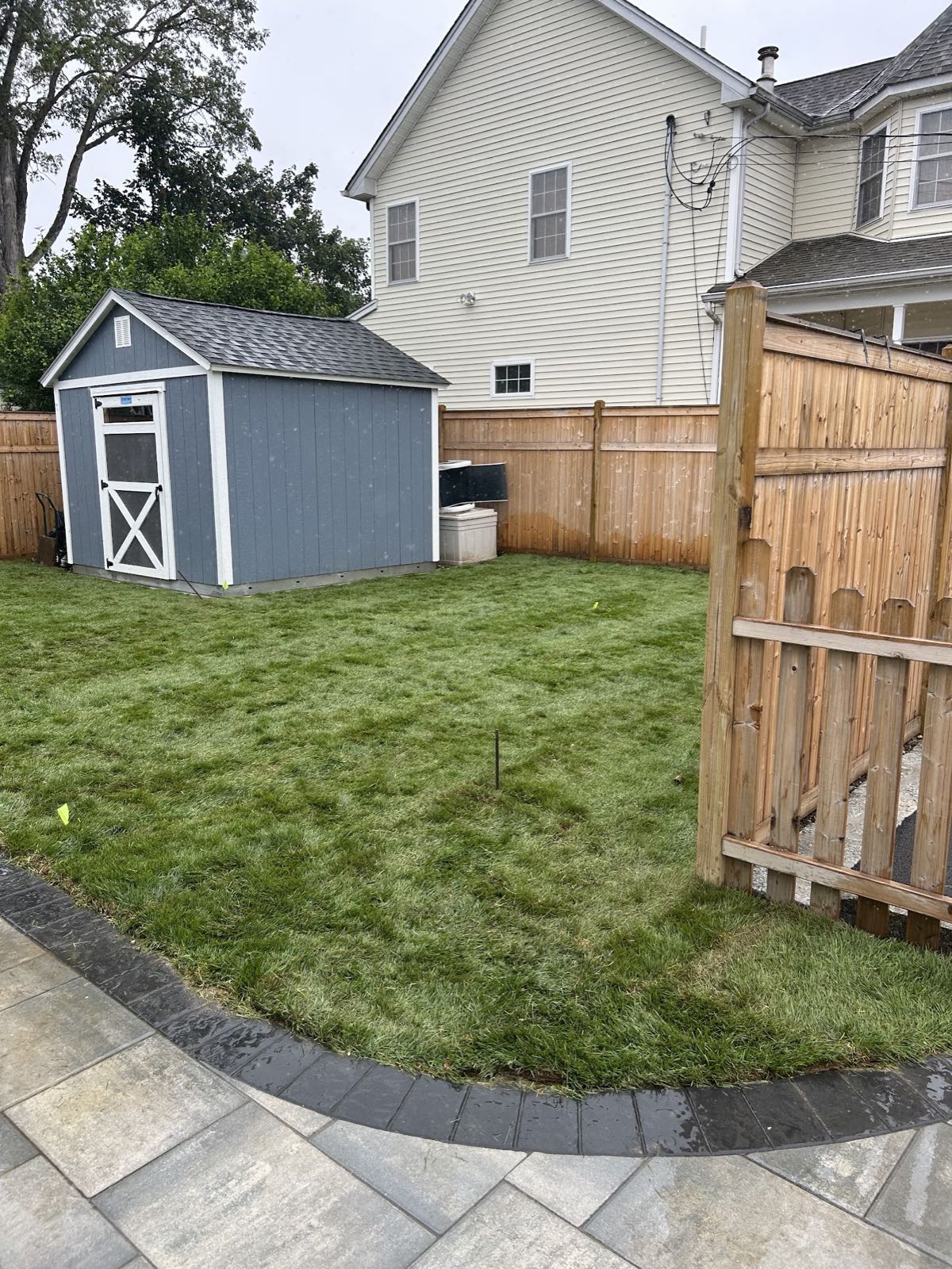Lawn Renovation & Seeding